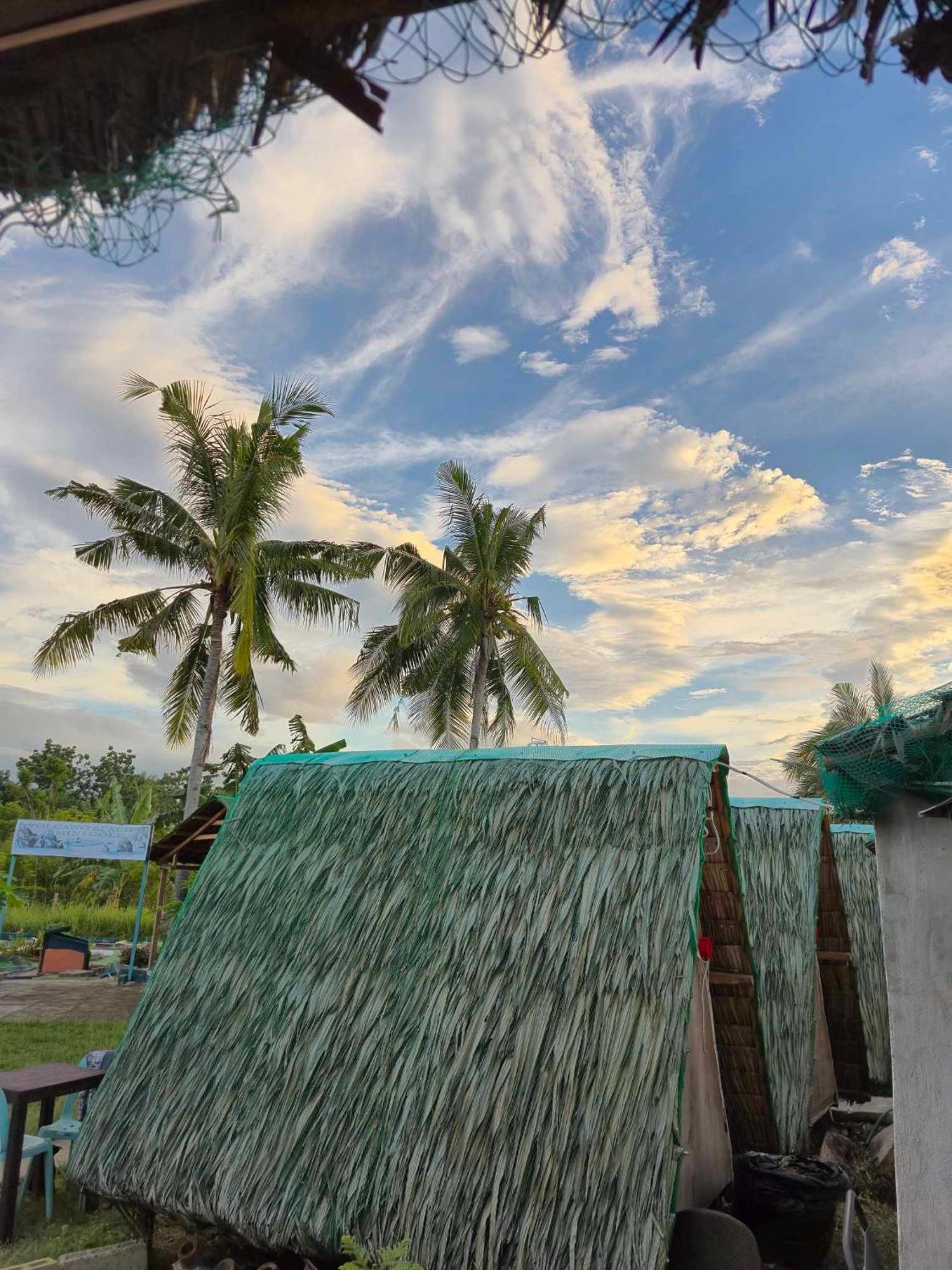 Nirvana Resort & Dive Centre - Moalboal Buitenkant foto